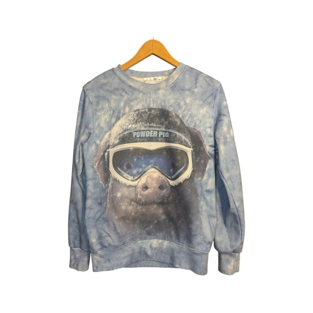 Linzi Yong 1981 Sweater Crewneck Women's Size M Powder Pig Snowboarding Blue
